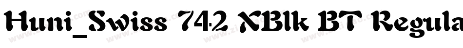 Huni_Swiss 742 XBlk BT Regular字体转换